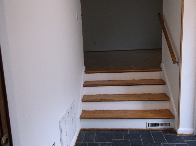 Gallery Photo 4
